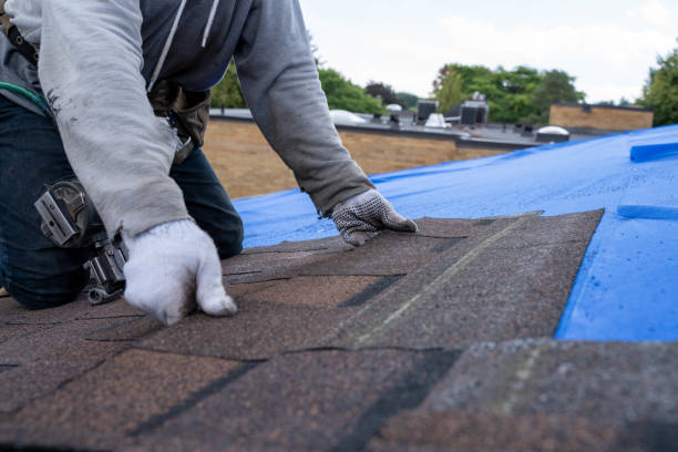 Quick and Trustworthy Emergency Roof Repair Services in Bloomfield, NY